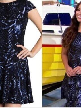 Rare Dress The Population women sequin Fit and Flare gorgeous dress M Worn once